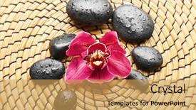  Presentation with orchid - PPT layouts consisting of spa stones and red orchid background and a  colored foreground