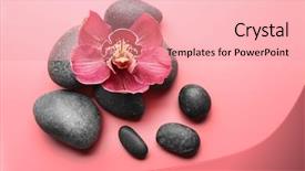  Presentation with orchids orchid red orchid orchid - Beautiful slides featuring spa stones and red orchid backdrop and a  colored foreground