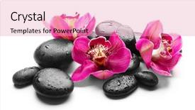  Presentation with orchid - Audience pleasing presentation consisting of spa stones and red orchid backdrop and a coral colored foreground