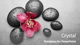  Presentation with red grey - Presentation theme with spa stones and red orchid background and a gray colored foreground