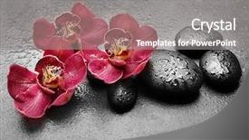  Presentation with red grey - Colorful presentation enhanced with spa stones and red orchid backdrop and a gray colored foreground