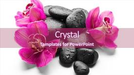  Presentation with orchid - Slides featuring spa stones and red orchid background and a  colored foreground