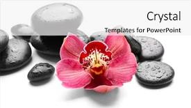  Presentation with spa - Colorful slides enhanced with spa stones and red orchid backdrop and a  colored foreground