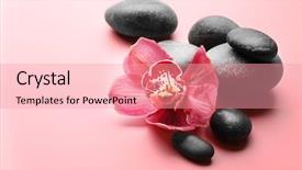  Presentation with orchid - Audience pleasing PPT theme consisting of spa stones and red orchid backdrop and a  colored foreground