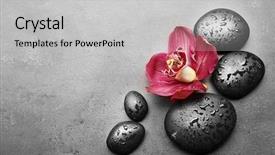  Presentation with red grey - Presentation theme having spa stones and red orchid background and a light gray colored foreground
