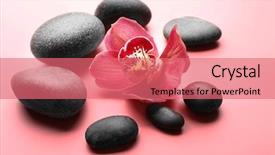  Presentation with orchid - PPT layouts with spa stones and red orchid background and a  colored foreground