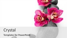  Presentation with orchid - Slide deck with spa stones and red orchid background and a white colored foreground