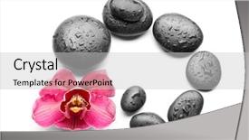  Presentation with orchids orchid red orchid orchid - Cool new presentation theme with spa stones and red orchid backdrop and a  colored foreground