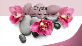  Presentation with orchids orchid red orchid orchid - Slides with spa stones and red orchid background and a coral colored foreground
