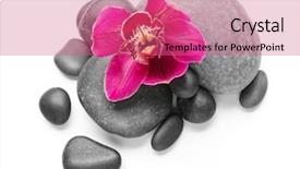  Presentation with orchid - Beautiful PPT theme featuring spa stones and red orchid backdrop and a  colored foreground