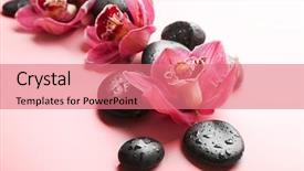  Presentation with orchid - Slides with spa stones and red orchid background and a  colored foreground