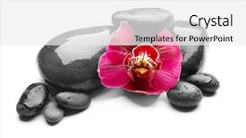  Presentation with orchids orchid red orchid orchid - Audience pleasing presentation design consisting of spa stones and red orchid backdrop and a  colored foreground