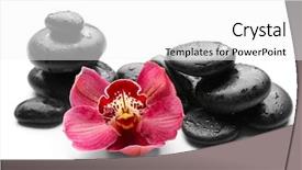  Presentation with orchid - PPT layouts with spa stones and red orchid background and a white colored foreground