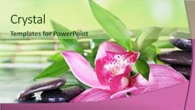  Presentation with textured natural bamboo fence - PPT theme consisting of spa stones bamboo branches and lilac orchid on table on natural background background and a soft green colored foreground