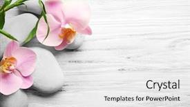  Presentation with orchid - PPT theme with spa stones bamboo stack background and a white colored foreground