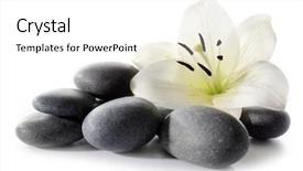  Presentation with lotus flower white water lily - Amazing slide set having spa stones isolated on white backdrop and a white colored foreground