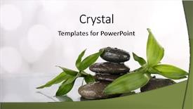  Presentation with spa stones leaves - Cool new presentation theme with spa stones leaves bamboo branches flooded with water surface on light background backdrop and a pink colored foreground
