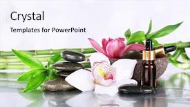  Presentation with orchids - Cool new presentation theme with spa stones orchids bamboo branches backdrop and a sky blue colored foreground