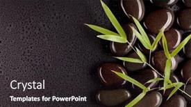  Presentation with dew - 