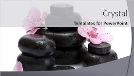  Presentation with sakura - 