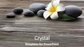 Presentation with stones - Amazing slide deck having spa stones with flower backdrop and a gray colored foreground