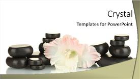  Presentation with bud - Slide deck consisting of spa stones with gladiolus bud isolated on white background and a white colored foreground