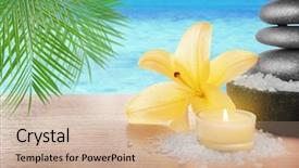  Presentation with spa stones leaves - Audience pleasing presentation consisting of spa stones with lily candle backdrop and a  colored foreground