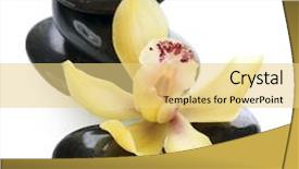  Presentation with stones - Beautiful slides featuring spa stones with orchid flower backdrop and a blonde colored foreground