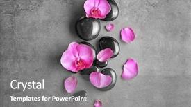  Presentation with orchid - Beautiful presentation theme featuring spa stones with orchid flowers backdrop and a gray colored foreground