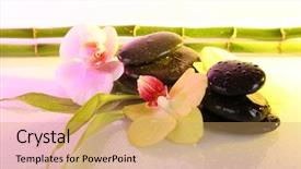  Presentation with orchid - Slide deck consisting of spa stones with orchid and bamboo on light background background and a yellow colored foreground