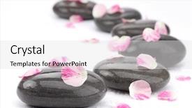  Presentation with maintenance - Presentation theme having spa stones with rose petals background and a white colored foreground