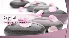  Presentation with pink rose petals on white - PPT layouts featuring spa stones with rose petals background and a lemonade colored foreground