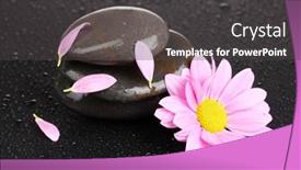  Presentation with water drops - PPT theme consisting of spa-stones-with-water-drops background and a  colored foreground