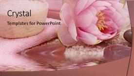  Presentation with water lily - Theme enhanced with young woman holding disposable coffee cup while text messaging through smartphone outdoors background and a gray colored foreground