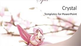  Presentation with day spa - Presentation consisting of spa background and a white colored foreground