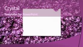  Presentation with mechanical engineering car spring - Amazing presentation having space for text decorative frame backdrop and a violet colored foreground