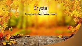  Presentation with falling leaves - Audience pleasing PPT theme consisting of space for text seasonal abstract backdrop and a gold colored foreground