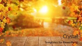  Presentation with autumn leaves falling - Beautiful theme featuring space for text seasonal abstract backdrop and a gold colored foreground