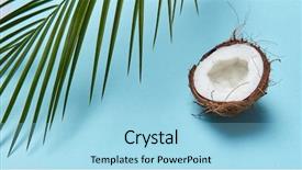  Presentation with coconut product - Slides with space organic product for use background and a light blue colored foreground