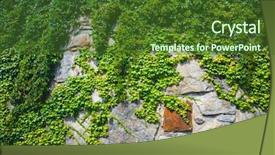  Presentation with green earth - Slide set featuring natural texture of green ivy background and a tawny brown colored foreground