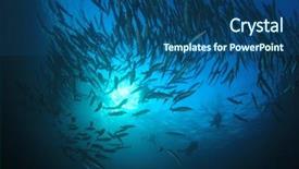  Presentation with space vortex - Cool new theme with space vortex - barracuda fish and scuba divers backdrop and a ocean colored foreground