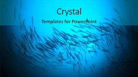  Presentation with fish ocean - Amazing slides having space vortex - chevron barracuda fish in ocean backdrop and a light gray colored foreground