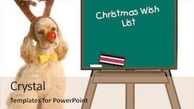  Presentation with american - Beautiful theme featuring spaniel dressed up as rudolph backdrop and a coral colored foreground