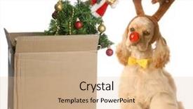  Presentation with puppy english cocker spaniel - Cool new slides with spaniel dressed up as rudolph backdrop and a coral colored foreground