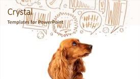  Presentation with puppy english cocker spaniel - Audience pleasing slide deck consisting of spaniel with barking speech bubble backdrop and a lemonade colored foreground