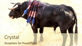  Presentation with spanish philippine history - PPT theme consisting of spanish bull fighting spanish bullfight background and a  colored foreground