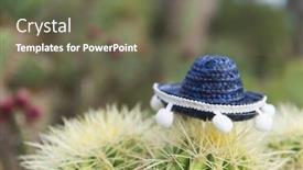  Presentation with spanish - Colorful presentation theme enhanced with spanish cactus with typical sombrero on top backdrop and a tawny brown colored foreground