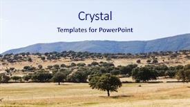 Presentation with spanish - PPT theme consisting of rangeland - spanish dry landscape called dehesa background and a sky blue colored foreground