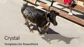  Presentation with festival - Colorful slides enhanced with spanish festival - bull at street traditional fest backdrop and a soft green colored foreground