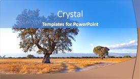  Presentation with oak - Slides having spanish-meadow-in-summer background and a teal colored foreground